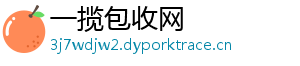 一揽包收网